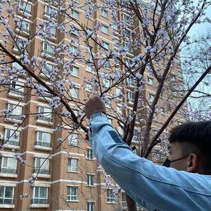 日本无码色情aⅴ大片现场版小说
